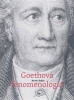 Goethova fenomenologie Studie k osvícenskému myšlení přírodního a kulturního zprostředkování