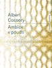 Ambice v poušti