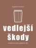 Vedlejší škody Sociální nerovnosti v globálním věku